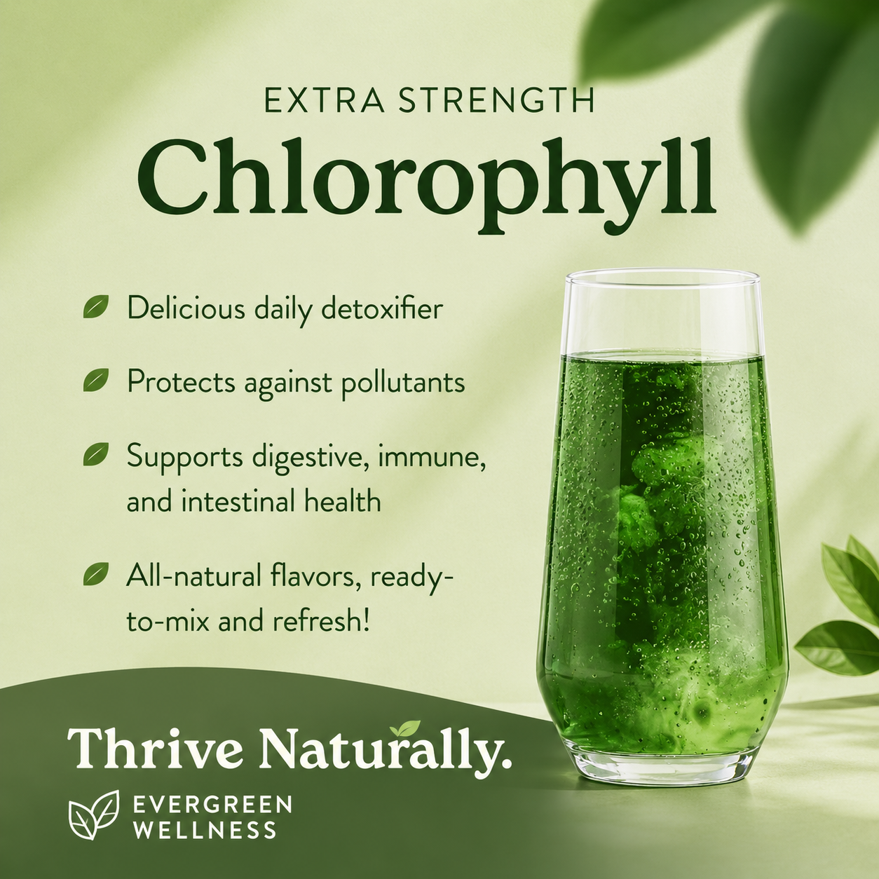Chlorophyll Stick Packs for Gut Health